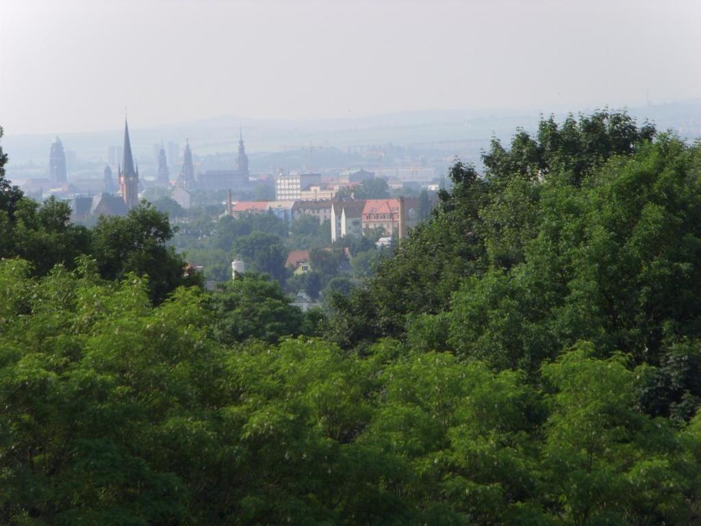 Ferienwohnung Dresden-Trachenberge-Stadtblick Exterior foto